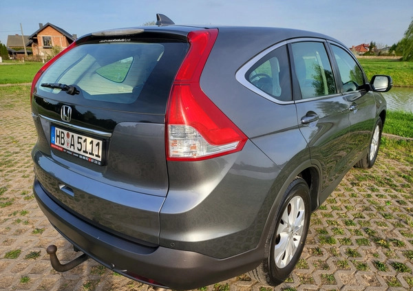 Honda CR-V cena 59909 przebieg: 168000, rok produkcji 2013 z Sieradz małe 529